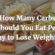 How Many Carbs to Lose Weight FAST