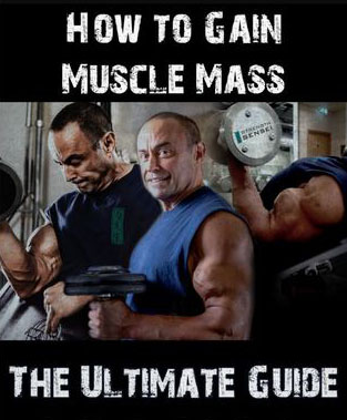 How To Gain Muscle Mass