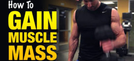 How to Gain Muscle Mass Naturally & Fast?